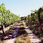 Agroturismo Quinta De Real *