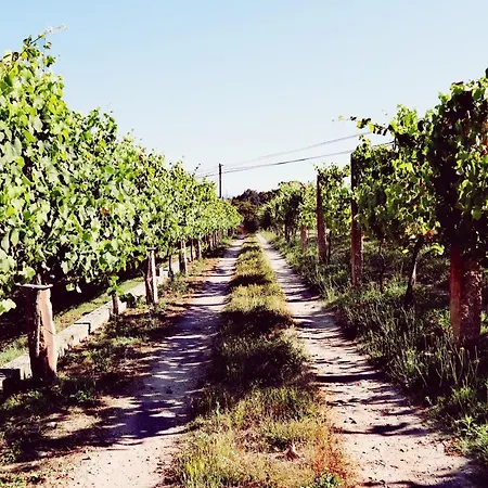 Farm stay Quinta De Real *
