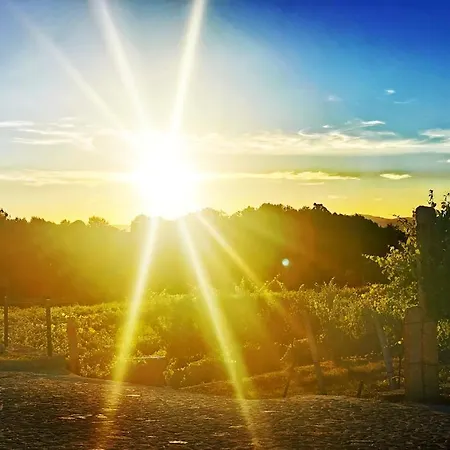 Quinta De Real Farm stay *