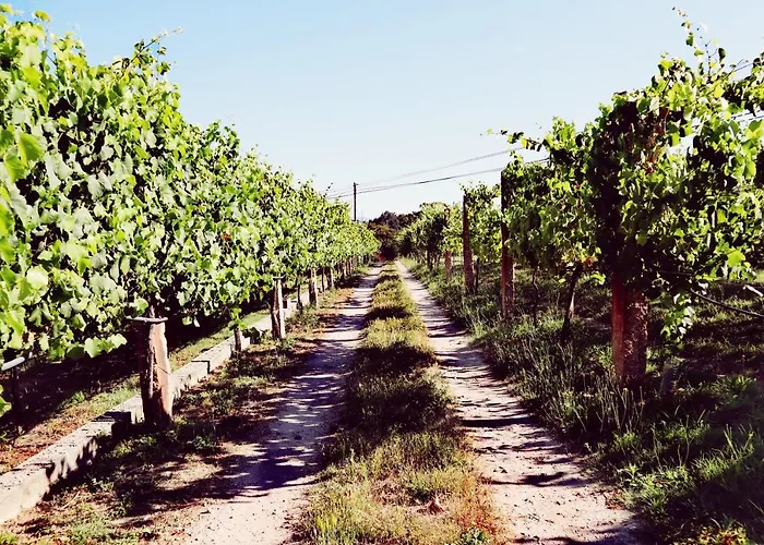 Vakantieboerderij Quinta De Real *