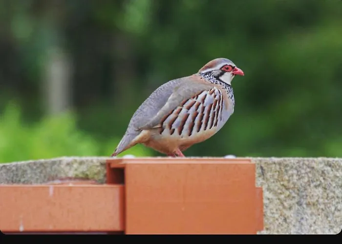 Quinta De Real Vakantieboerderij