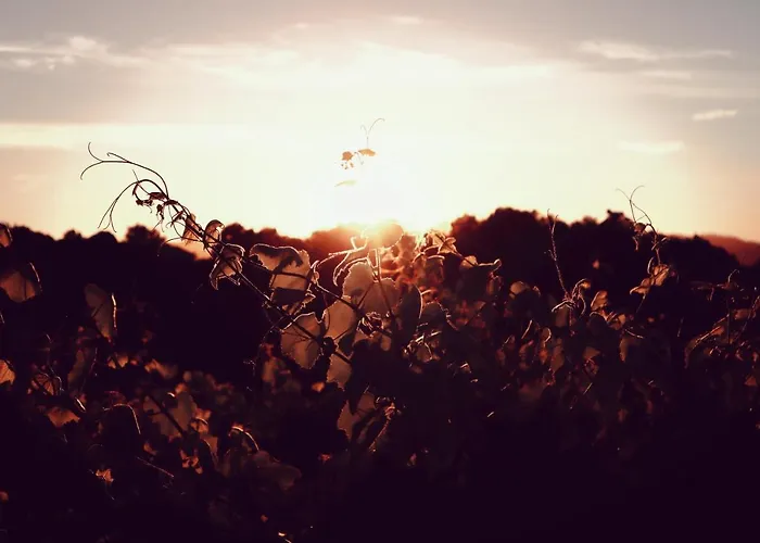 Quinta De Real Κατάλυμα σε φάρμα Valenca