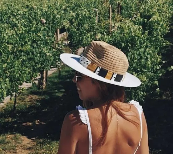 Vakantieboerderij Quinta De Real Valenca