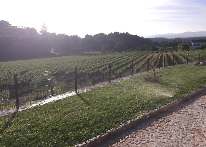 Quinta De Real Valenca