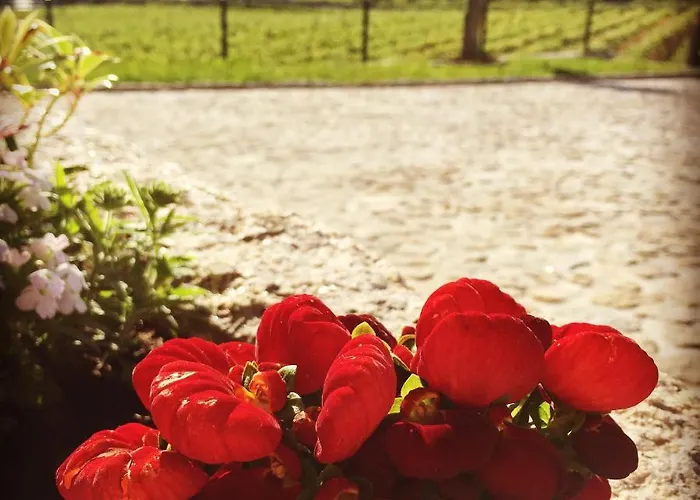 Quinta De Real Valenca